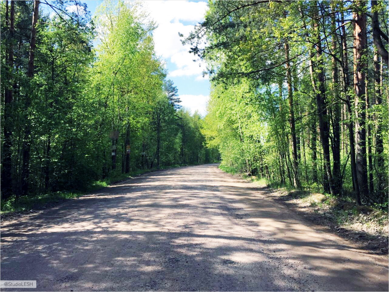 Дорога во Всеволожске 