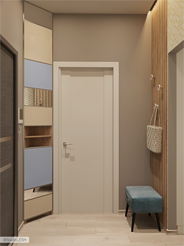 Входная дверь и прихожая 