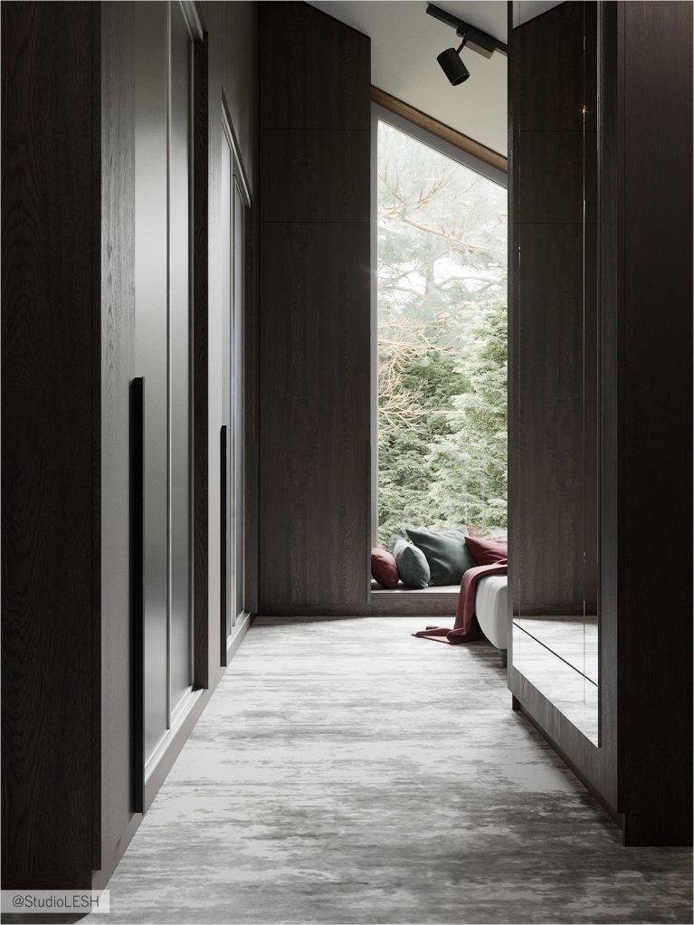 Гардеробная в темном цвете 