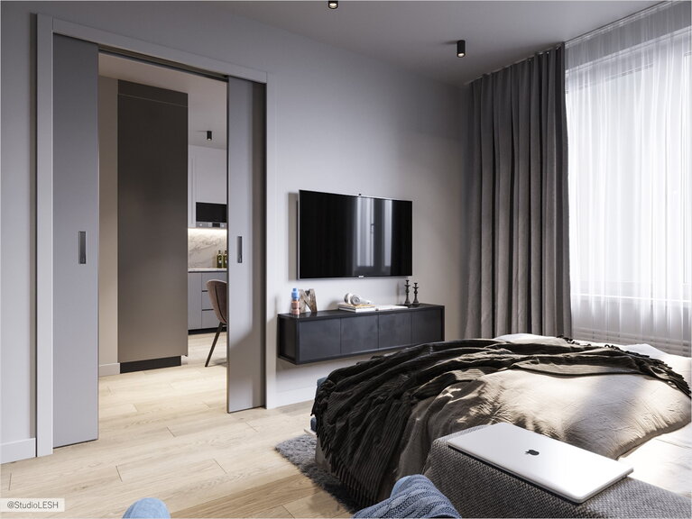 Раздвижные двери в гостиную , в открытом виде спрятанные в стену