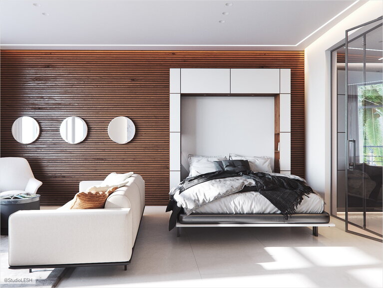 Гостиная-спальня с откидной кроватью