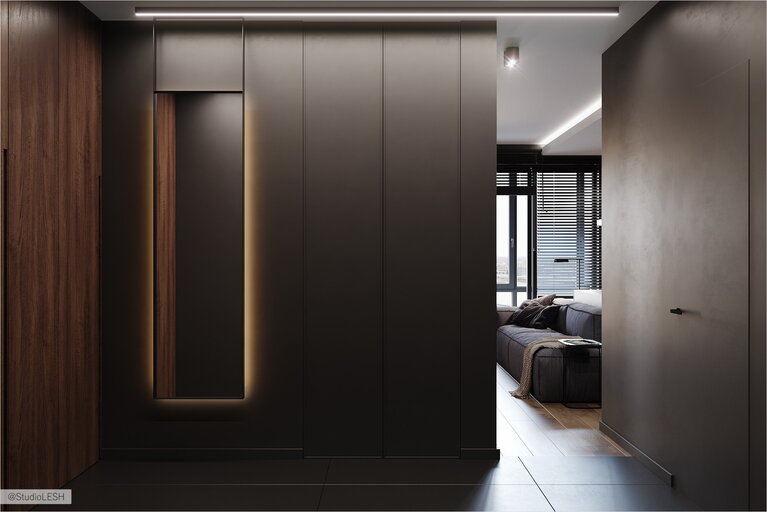 Прихожая со скрытыми дверями 