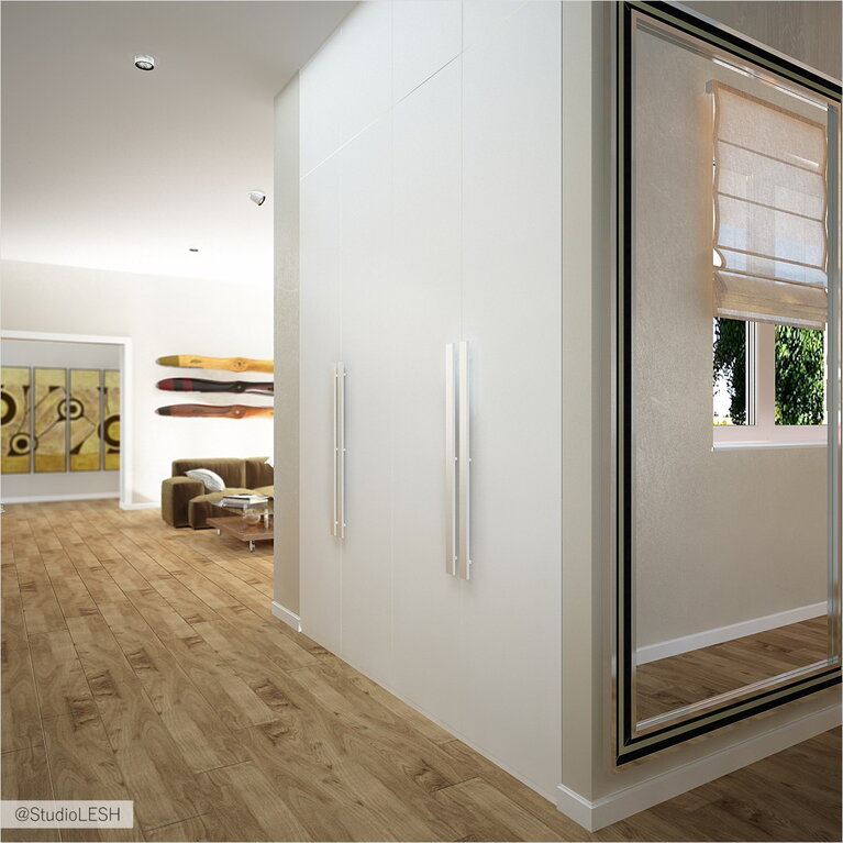 Удобный шкаф для прихожей в доме 