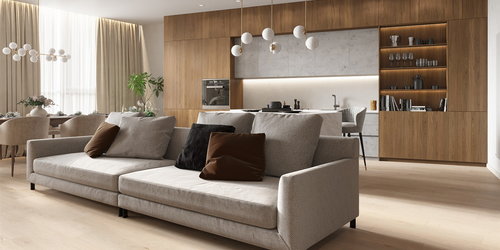 Big couch with the pillows